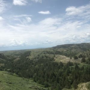 Meet your Posher, Lynne